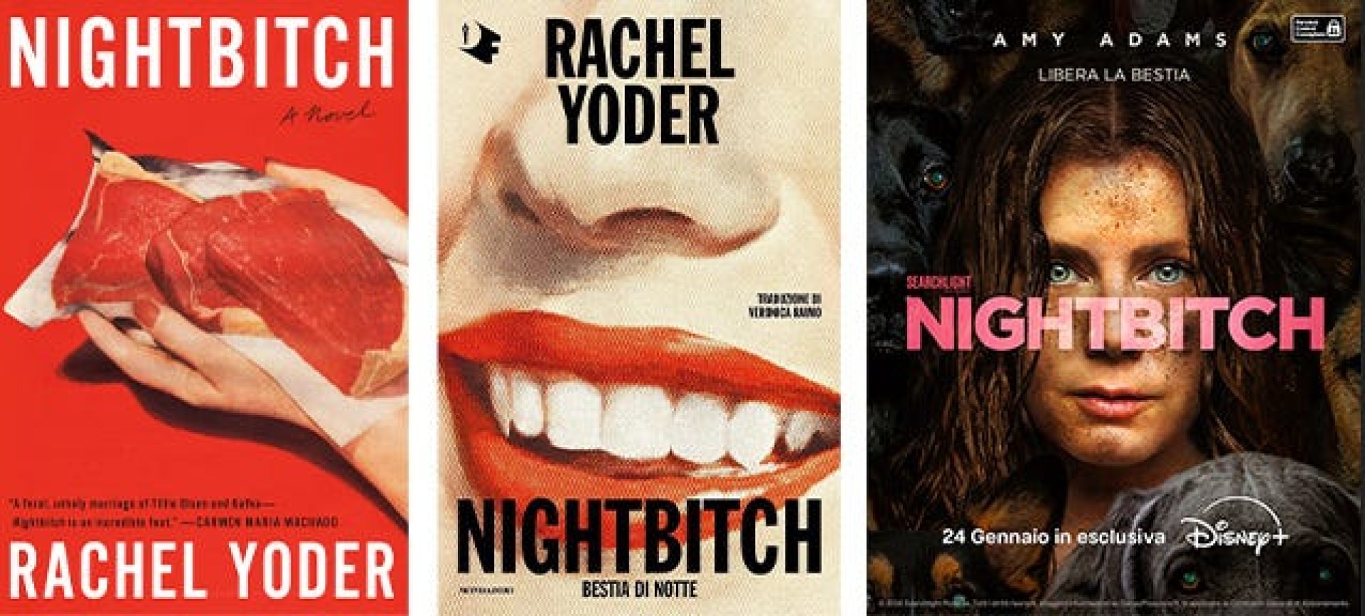 “Nightbitch. Madri che corrono con i lupi” di Lucia Maulucci